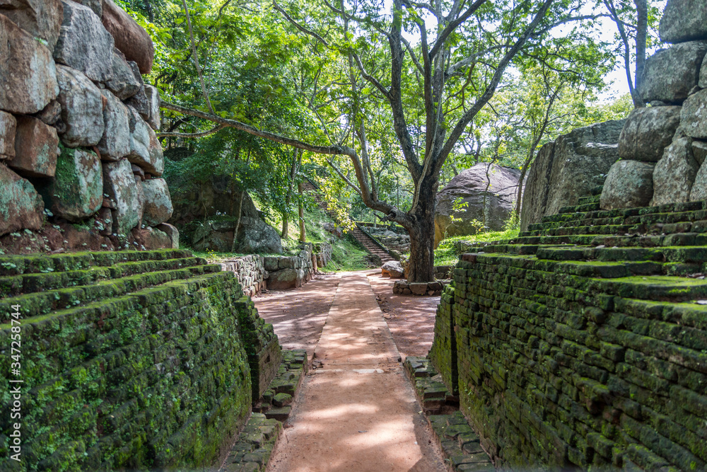 Sigiriya Lion Rock Sigiriya Lion Rock