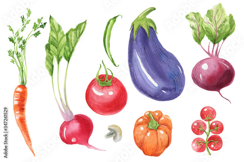 Watercolor vegetables. Eggplant, tomato, pepper, avocado, carrot. Eco food, Healthy food. Vegan dishes. Hand painted illustration. Isolated. Printable. Best for kitchen decor, cafe design, menu.