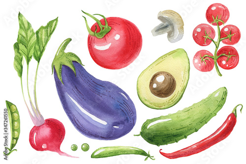 Watercolor vegetables. Eggplant, tomato, pepper, avocado, carrot. Eco food, Healthy food. Vegan dishes. Hand painted illustration. Isolated. Printable. Best for kitchen decor, cafe design, menu.