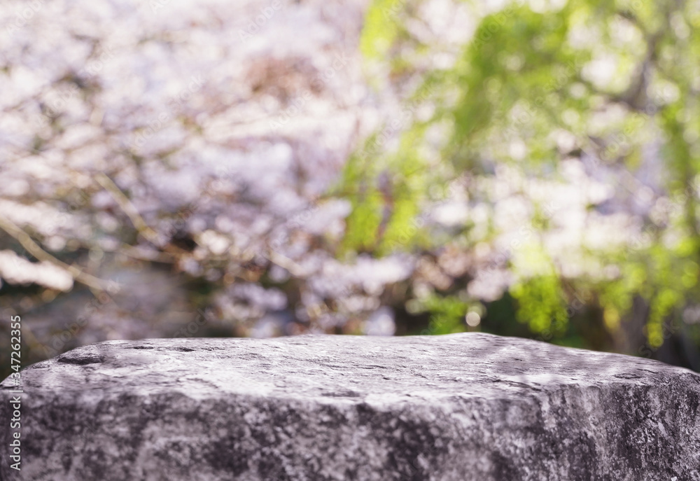 Obraz premium 合成用背景 桜の木と岩