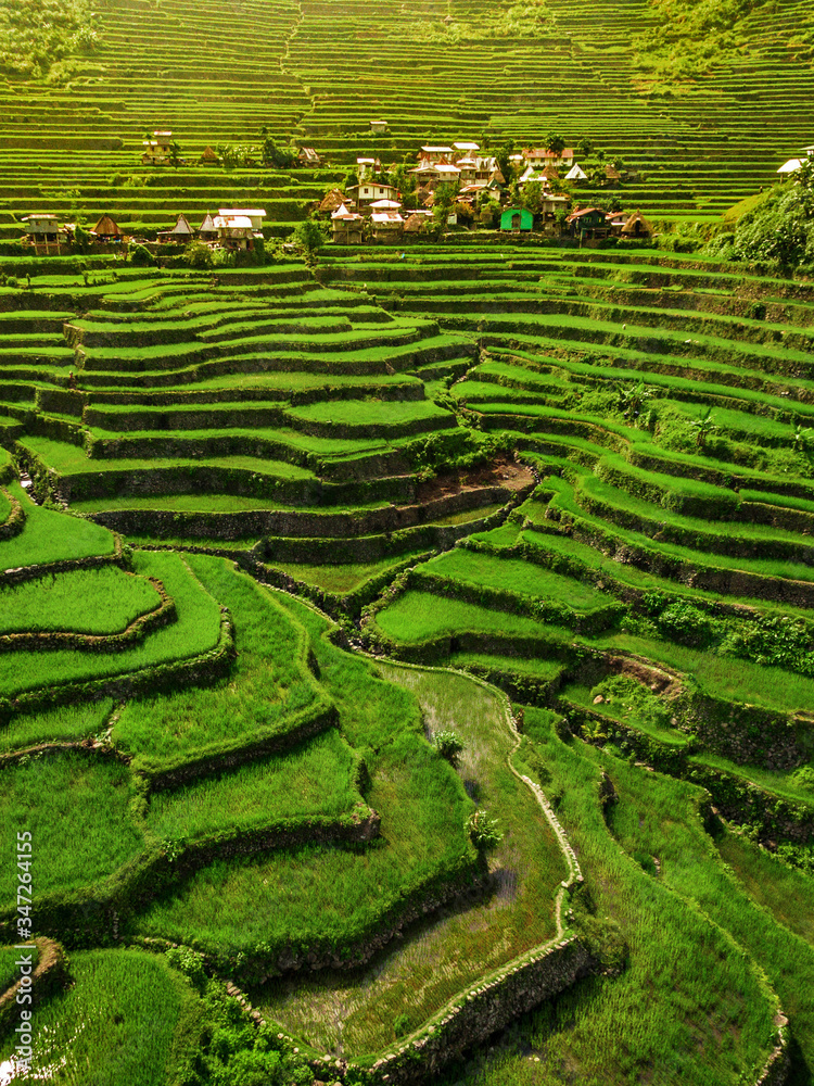 Ancient Ifugao rice terraces at Batad in northern Luzon, Philippines. Ancient Ifugao rice terraces at Batad in northern Luzon, Philippines.
