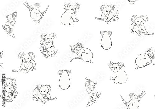Photography Koala bear seamless pattern