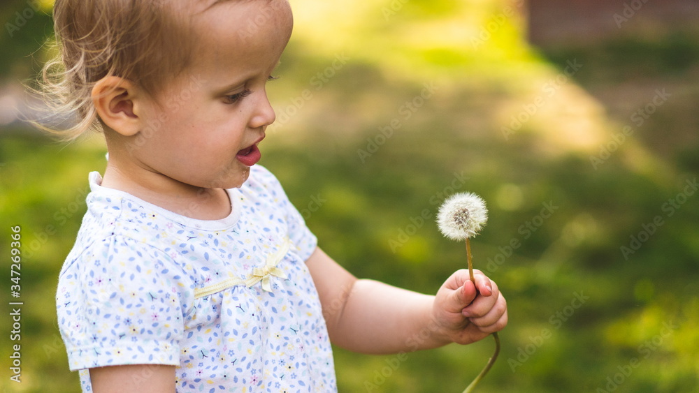 Little toddler blowing dandelion in the park. Happy girl blowing dandelion outdoors in spring park. Sunset and spring concept young girl blowing dandelion. Family and freedom concept. Pun in the park Little toddler blowing dandelion in the park. Happy girl blowing dandelion outdoors in spring park. Sunset and spring concept young girl blowing dandelion. Family and freedom concept. Pun in the park