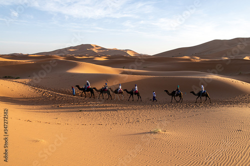 Desert caravan