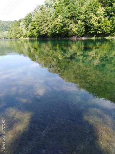 lake in the forest