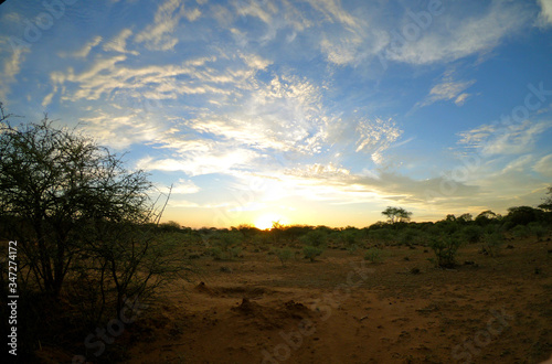 GoPro sunset landscape in African nature reserve