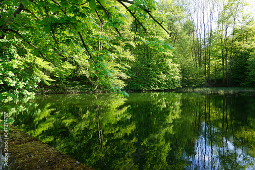Pause an einem kleinen Teich im Wald - Break at a small pond in the forest