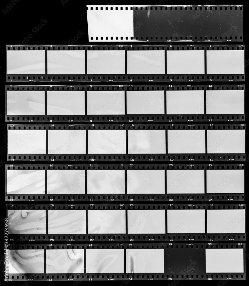 Seven long and empty 35mm filmstrips on black background.