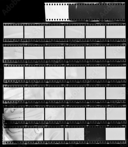 Seven long and empty 35mm filmstrips on black background. photo