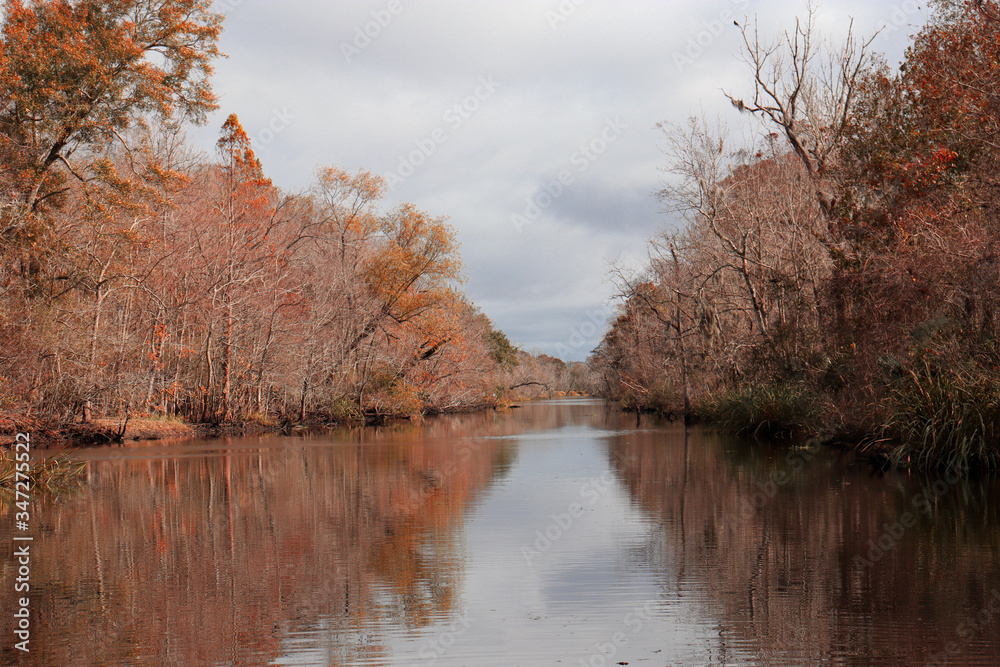 Obraz premium trees reflected in the water