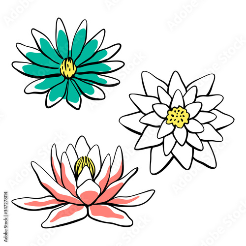 Waterlily, lotus flower collection. Hand drawn colorful sketch of tropical flowers and leaves isolated on white background. Vector illustration