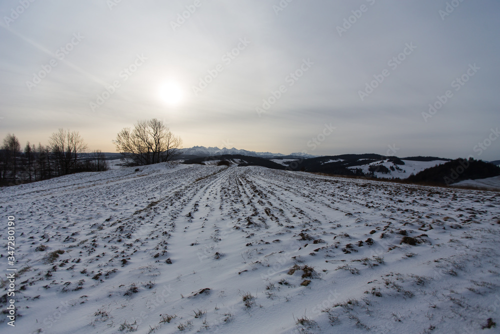 View to Podhale in winter, Poland