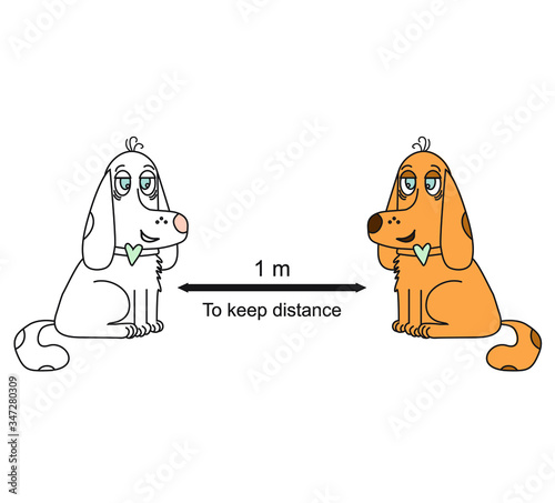 Keep your distance. Sign with white and brown dogs. She and he. COVID-19 protection. Warning and protection. Keep a distance of 1 meter. Vector illustration
