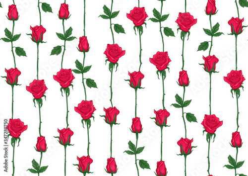 Red roses seamless pattern  background. Colored vector illustration