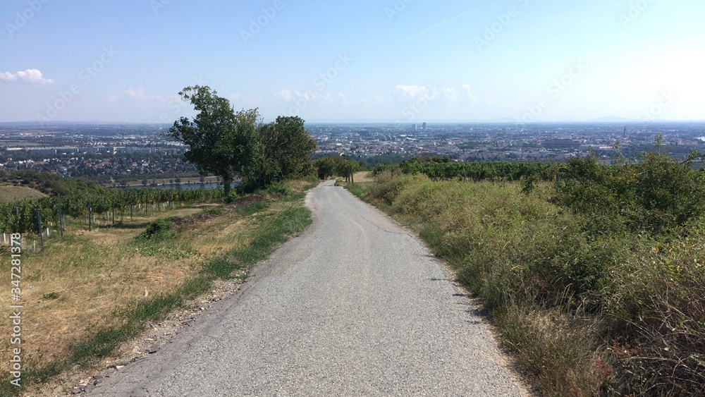 Empty Concrete Road With A View Of Vienna, Austria, On A Sunny Day 