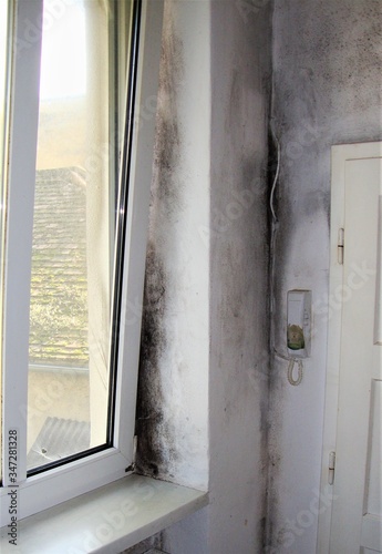 Heavy Mold On A White Window Frame And Door 