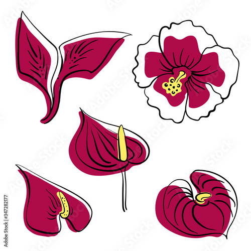 Tropical flowers collection: hibiscus, anthurium... Hand drawn colorful sketch of tropical flowers and leaves isolated on white background. Vector illustration