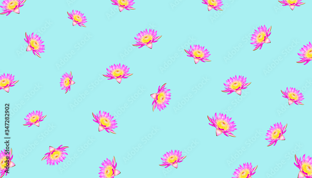 Lotus flowers isolated on blue background for pattern Lotus flowers isolated on blue background for pattern