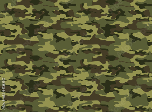 Camouflage military. Vector print texture