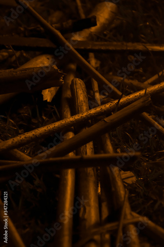 dry firewood 