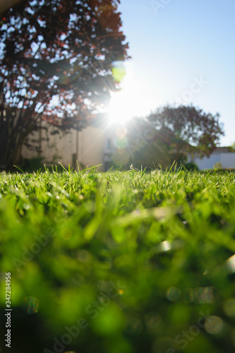 Freshly mowed green lawn in sunlight