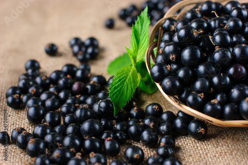 Photos black currants in a bowl