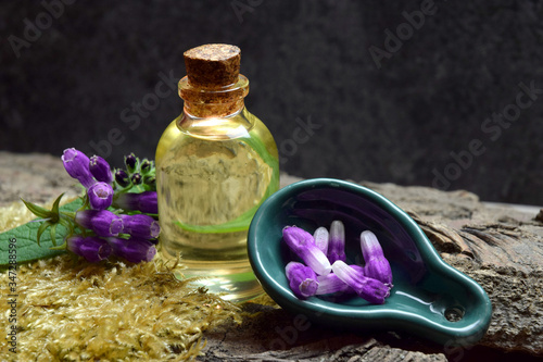 comfrey balm oil for remedy