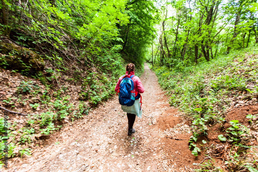 Obraz premium Hiking Group Of People Walking In Nature
