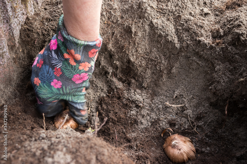 Obraz premium Prace ogrodowe.