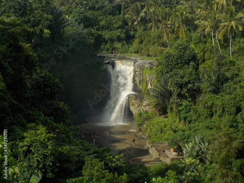 waterfall in bali jungle
