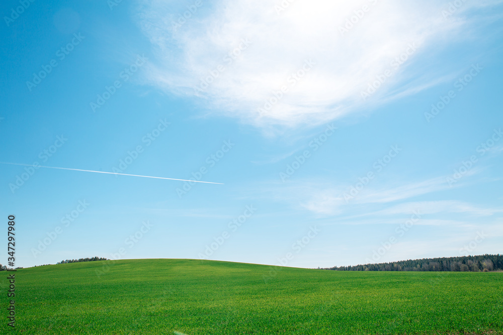 Fototapeta premium blue sky, Bright sun in a white cloud, green field, General plan. Natural background