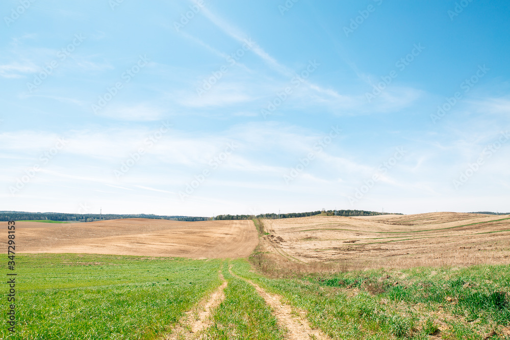 A ploughed field of brown color,a green planted field, a path in the middle.blue sky, General plan. Natural background