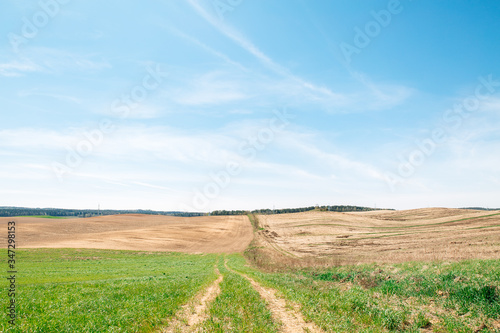A ploughed field of brown color a green planted field  a path in the middle.blue sky  General plan. Natural background