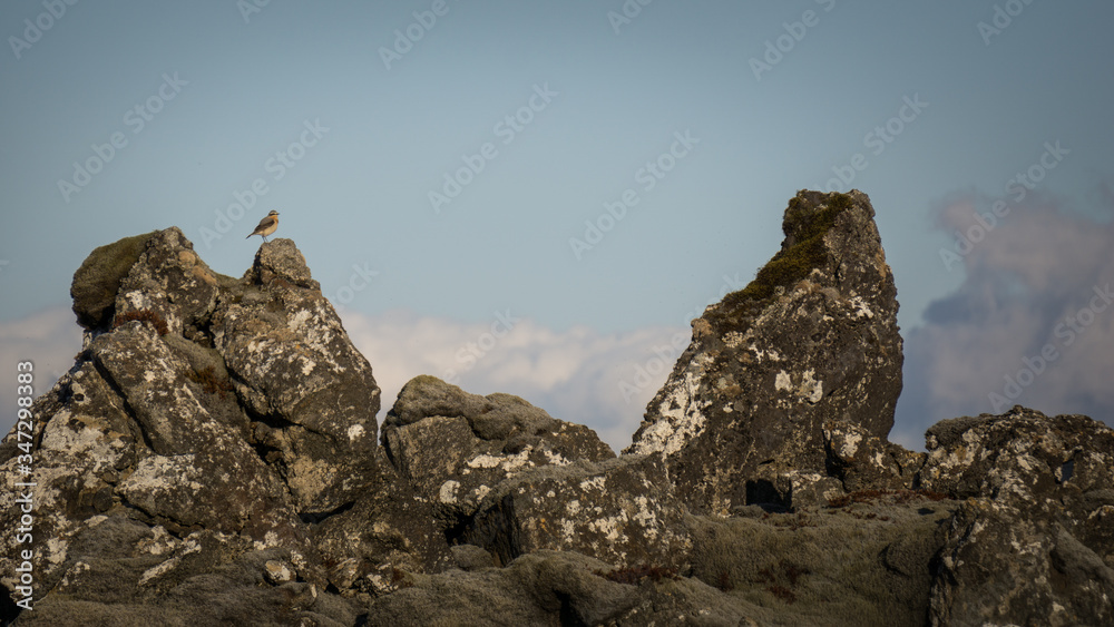 The views deep inside a moss covered lava field in Iceland. The views deep inside a moss covered lava field in Iceland.