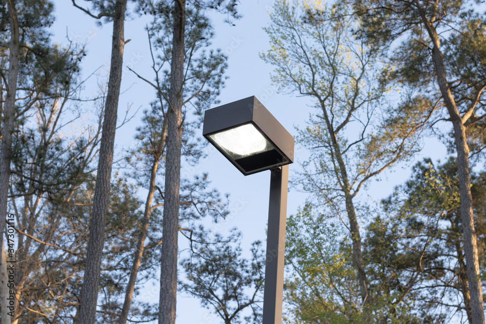 Light posts illuminated during the day in a public park. Light posts illuminated during the day in a public park.