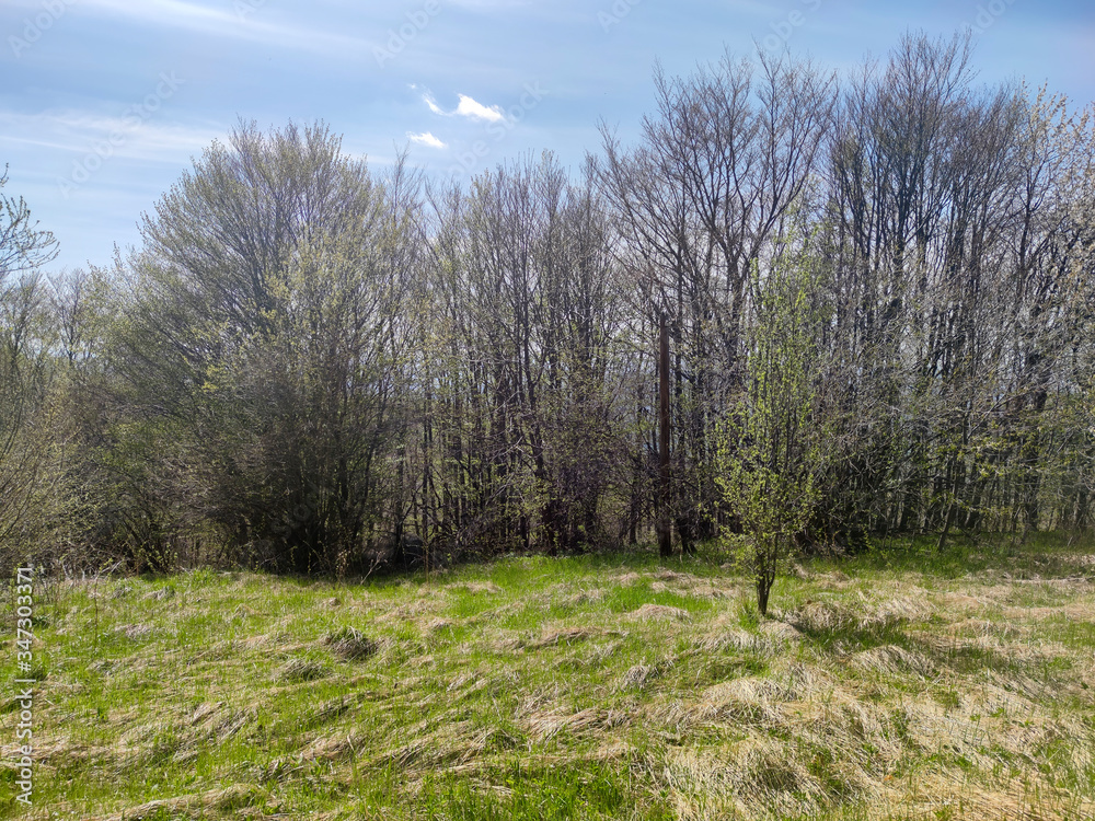 Spring Landscape of Vitosha Mountain, Bulgaria Spring Landscape of Vitosha Mountain, Bulgaria
