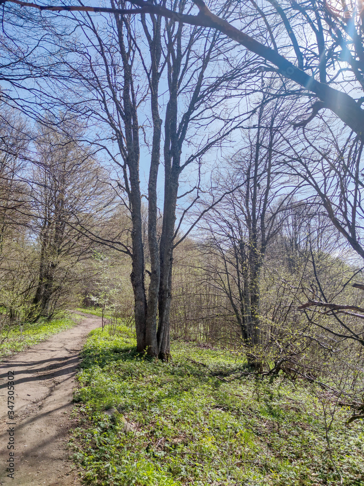 Spring Landscape of Vitosha Mountain, Bulgaria Spring Landscape of Vitosha Mountain, Bulgaria