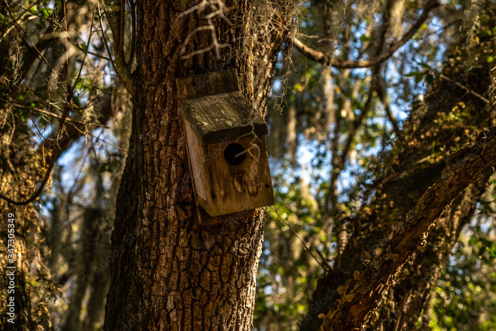 An old birdhouse in the park reminds me of simpler times. An old birdhouse in the park reminds me of simpler times.