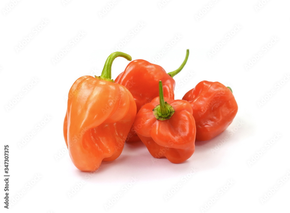 Habanero chilis isolated on white background. Fresh ripe Caribbean Red Habanero hot chili pepper with green stem. Habanero chilis isolated on white background. Fresh ripe Caribbean Red Habanero hot chili pepper with green stem.