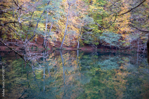 Fototapeta Naklejka Na Ścianę i Meble -  Lake and forest nature view. Autumn and forest view camping outdoors. seven lakes in Turkey. Lush greenery reflection in water surface of primeval forest lake 