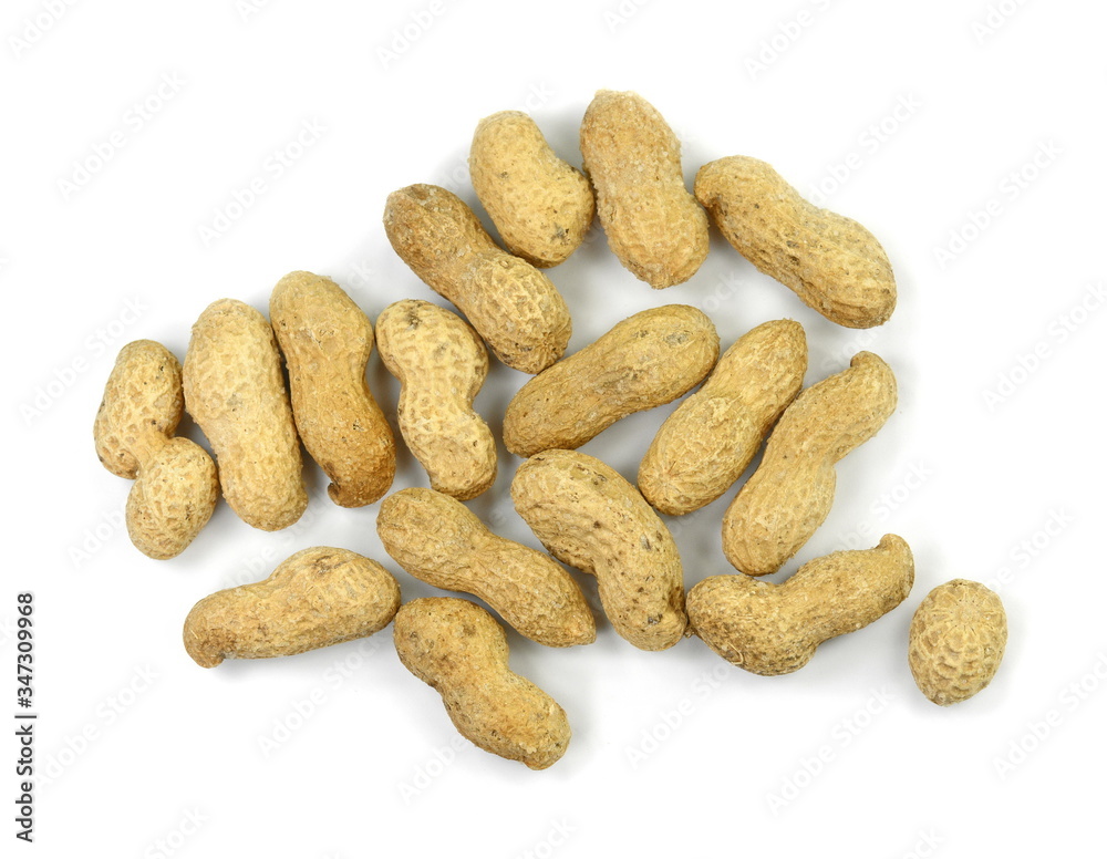 Peanuts isolated on the white background. Peanuts pod or arachis isolated on white background Peanuts isolated on the white background. Peanuts pod or arachis isolated on white background
