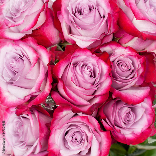 Bouquet of pink roses.