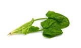 Fresh green spinach isolated on white background. Green spinach leaves. Green food.