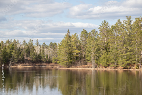 Reflections of spring forest in the water in Algonquin Park Ontario Canada