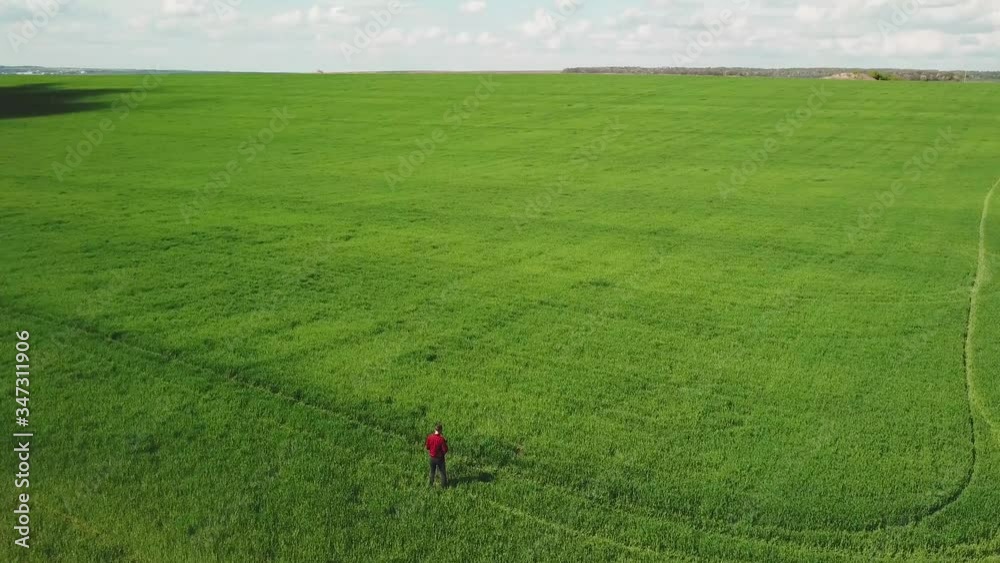 Farmer inspects wheat growth. Fresh green wheat field. Digital tablet in man's hand. Aerial rear view Farmer inspects wheat growth. Fresh green wheat field. Digital tablet in man's hand. Aerial rear view