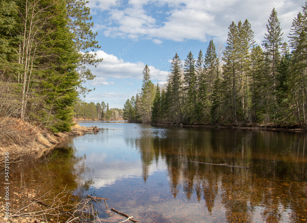 Reflections of spring forest in the water in Algonquin Park Ontario Canada
