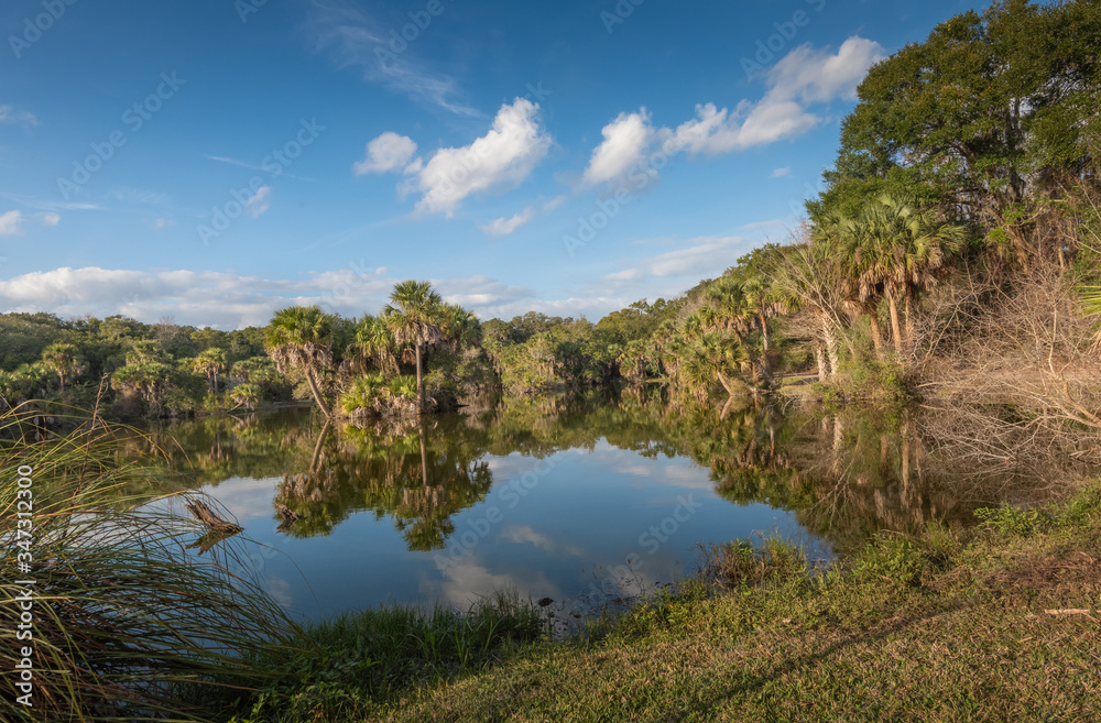 Gorgeous Floridian winter landscape Gorgeous Floridian winter landscape