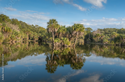 Gorgeous Floridian winter landscape