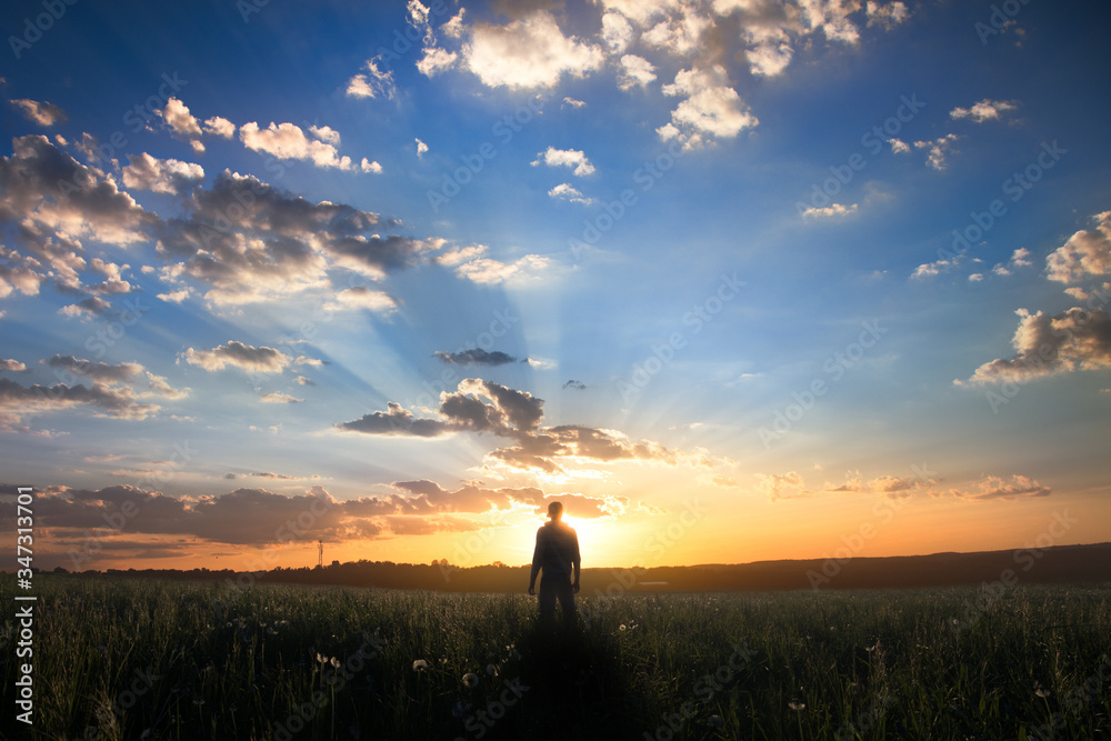 Fototapeta premium An open, summer field
