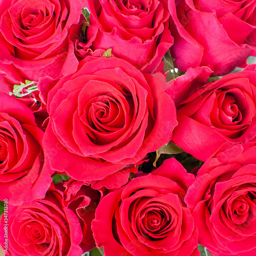 Bouquet of red roses.